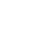 Ryzant Logo